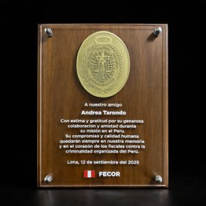 PLACA DE MADERA CON CRISTAL